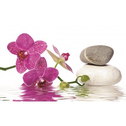 Fototapeta Spa stones with orchid
