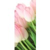 Fototapeta na dveře Bouquet of tulips