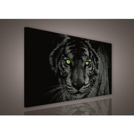 Obraz na plátně ART130B 100 x 75 cm