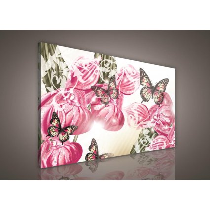 Obraz na plátně Butterflies 100 x 75 cm