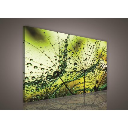 Obraz na plátně Zelené kapky 100 x 75 cm