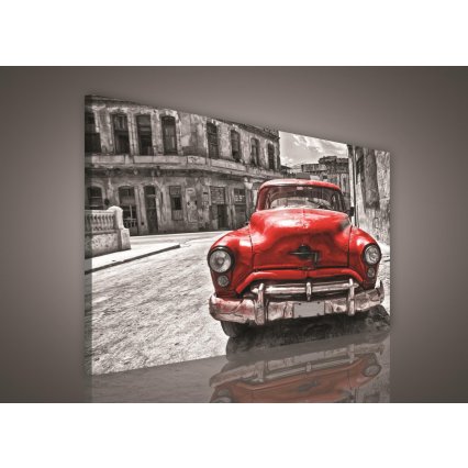 Obraz na plátně Red beetle 100 x 75 cm