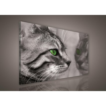Obraz na plátně Kočka 100 x 75 cm