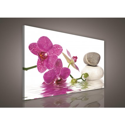 Obraz na plátně Lázeňské kameny s orchidejí 100 x 75 cm