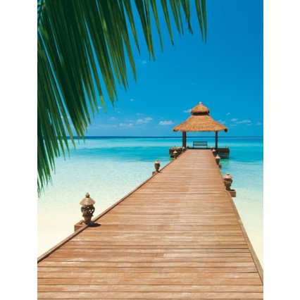 Fototapety Paradise Beach F376