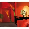 Fototapety Red Calla Lilies F406